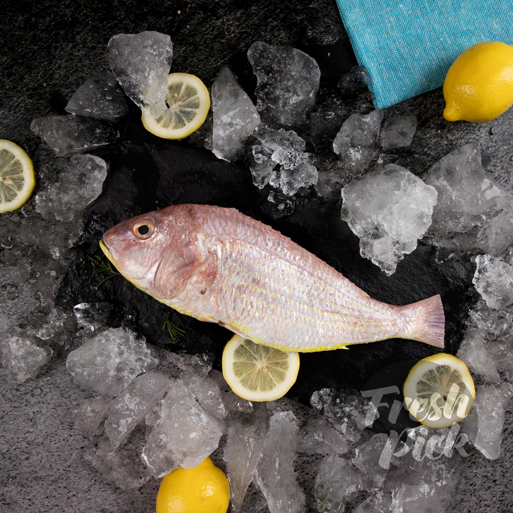 Seabream 200-400g (Medium - 1piece)